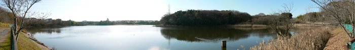 panorama view of Araike pond