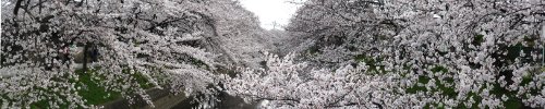 panorama view of Gojyogawa river