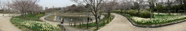 panorama view of Hosoguchiike park