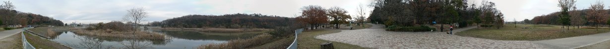 panorama view of Tenpaku park